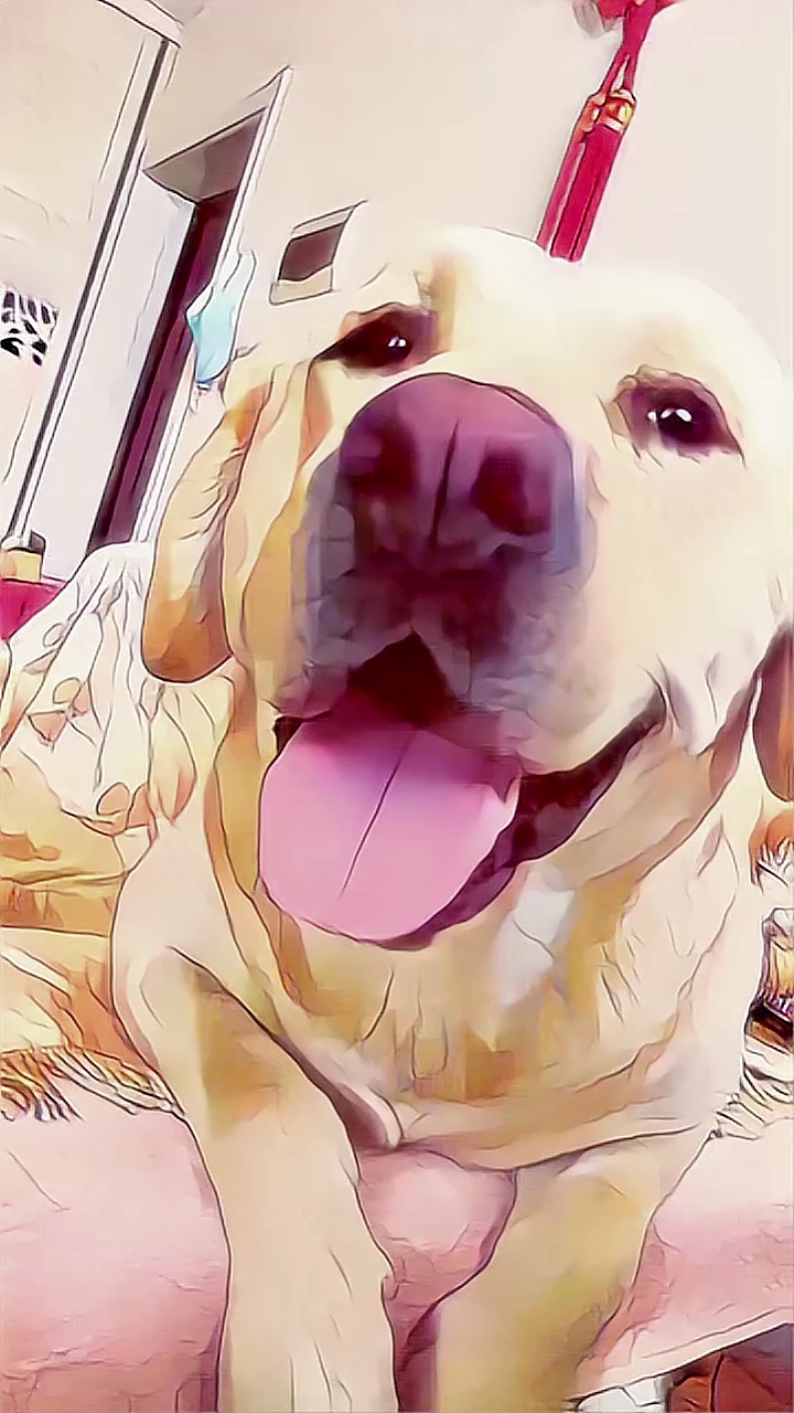 一键动漫#帅狗一个