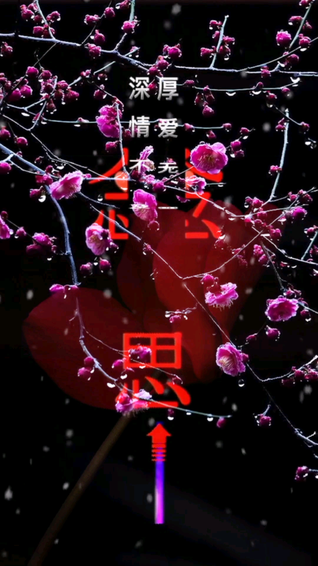 龙都衣舍文艺创作#深情不及久伴,厚爱无需多言