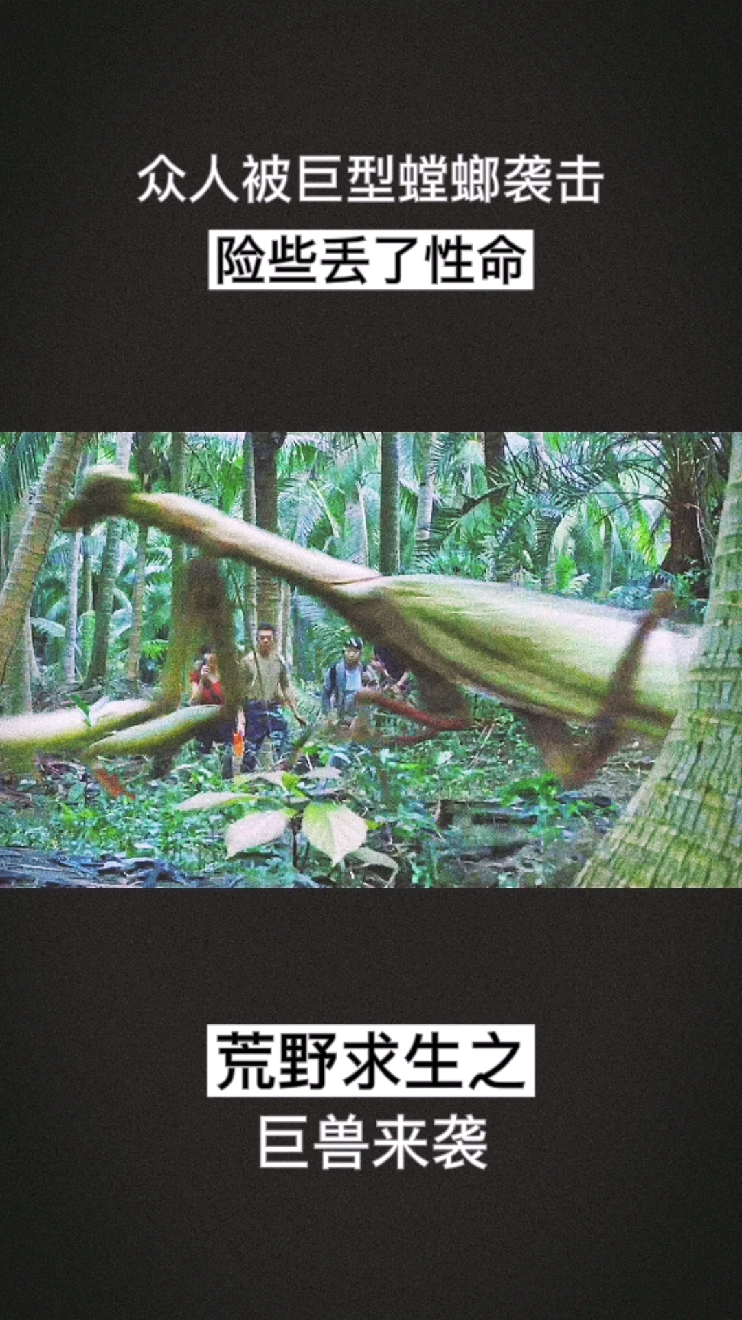 众人被巨型螳螂袭击险些丢了性命