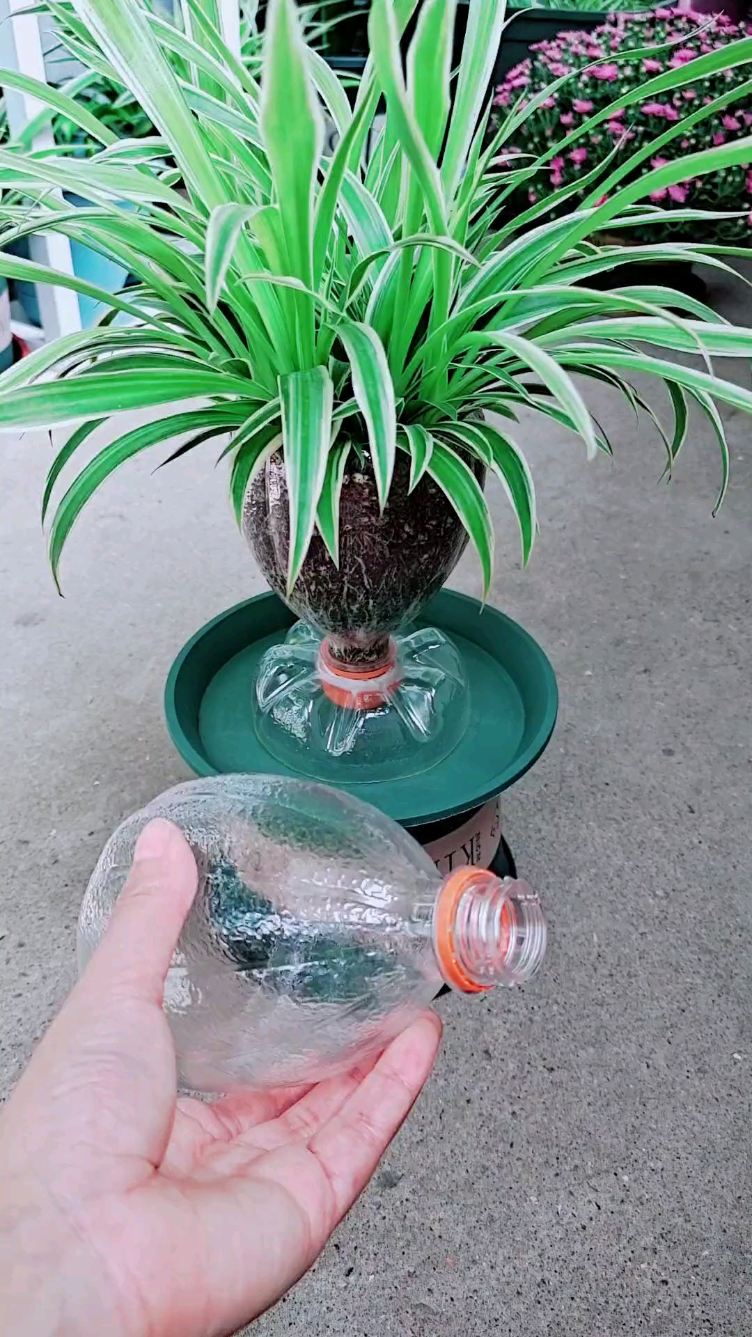 水瓶做花盆的手工制作图片