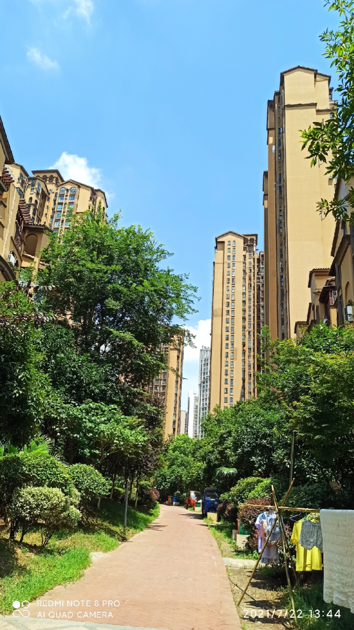 阳光明媚,空气清新,绿绿葱葱,宜居小区.