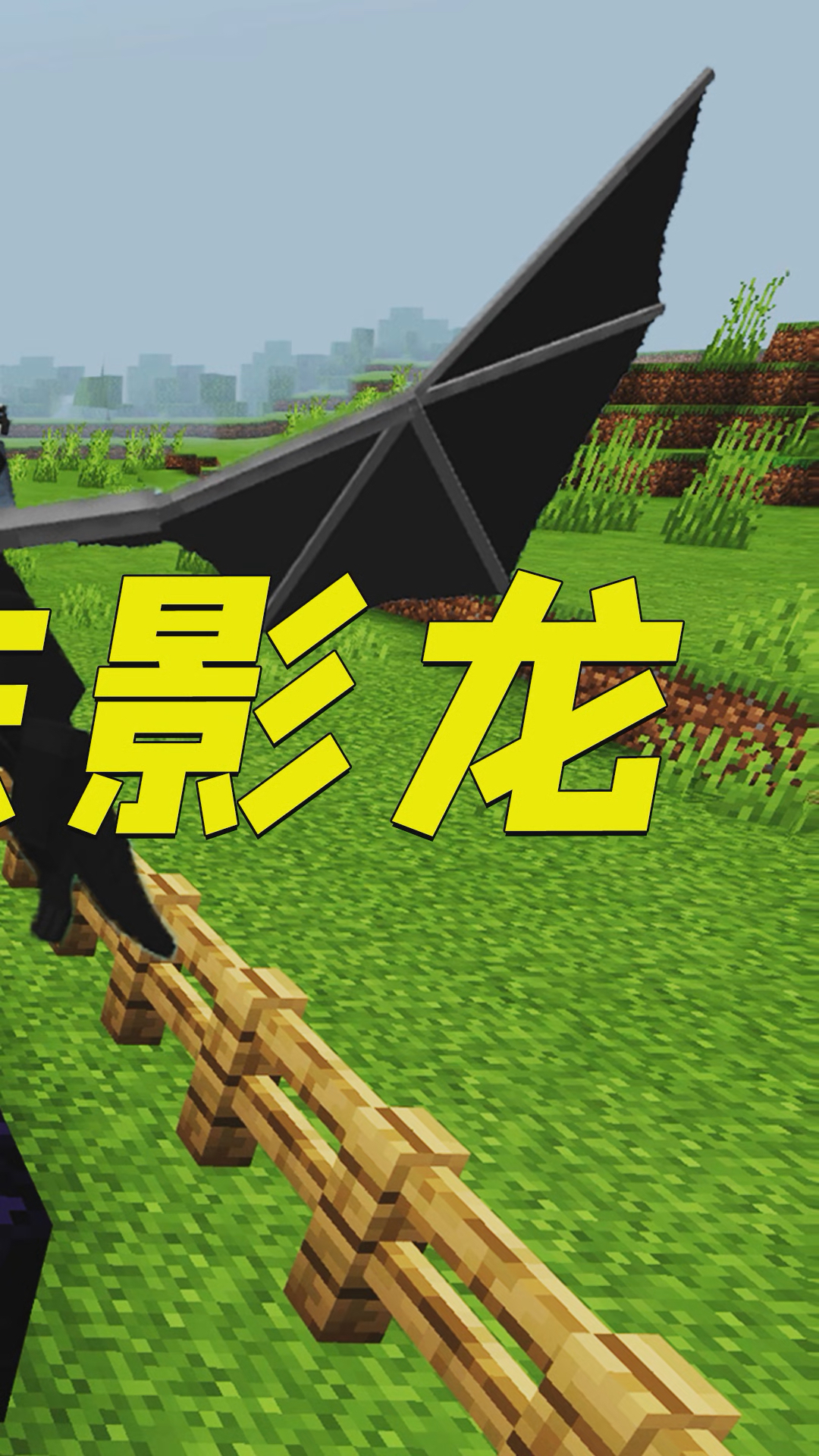 我的世界:成功孵化末影龙!穿上龙铠甲,这也太酷了!-3-度小视