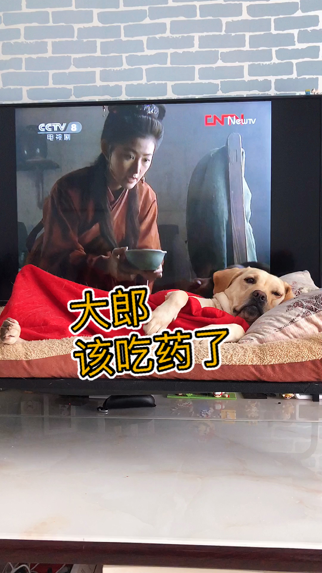 愚人节#大郎,该吃药了,你就喝了它吧