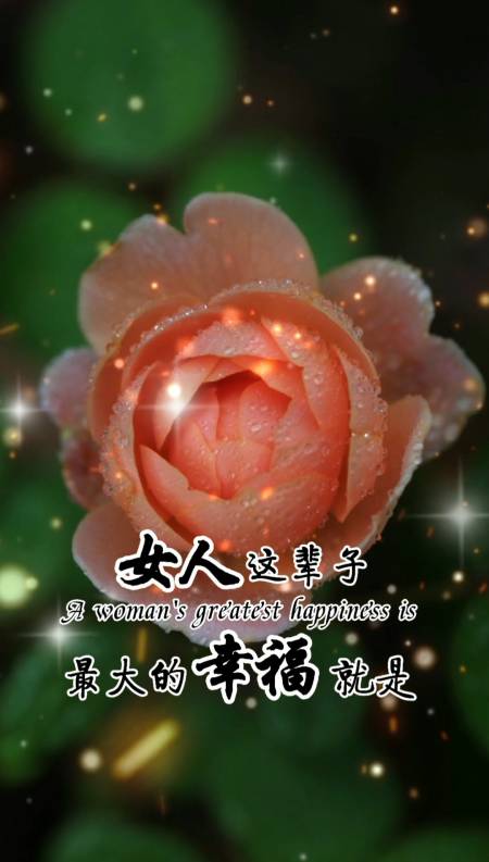 女人这辈子最大的幸福就是找到一个宠你的男人