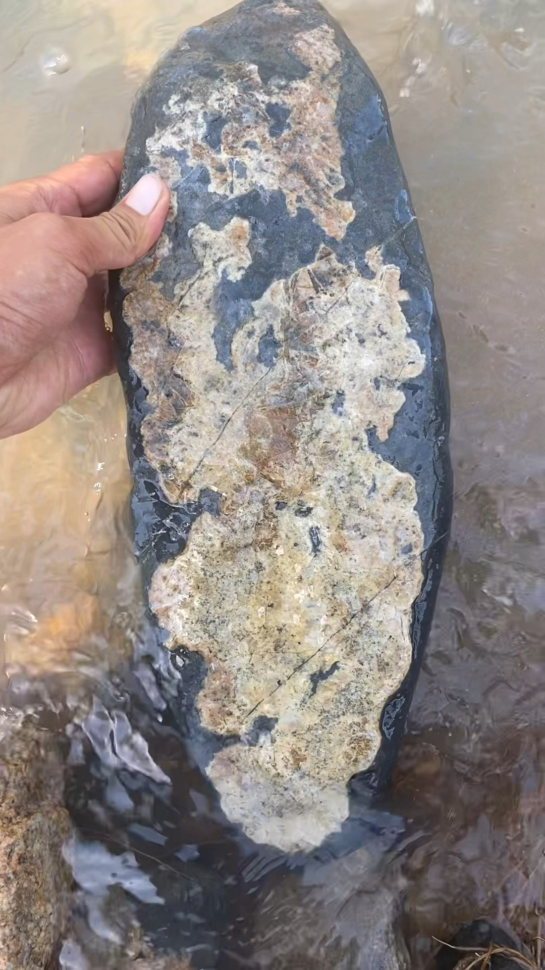 捡石头河里捡到一块画面石