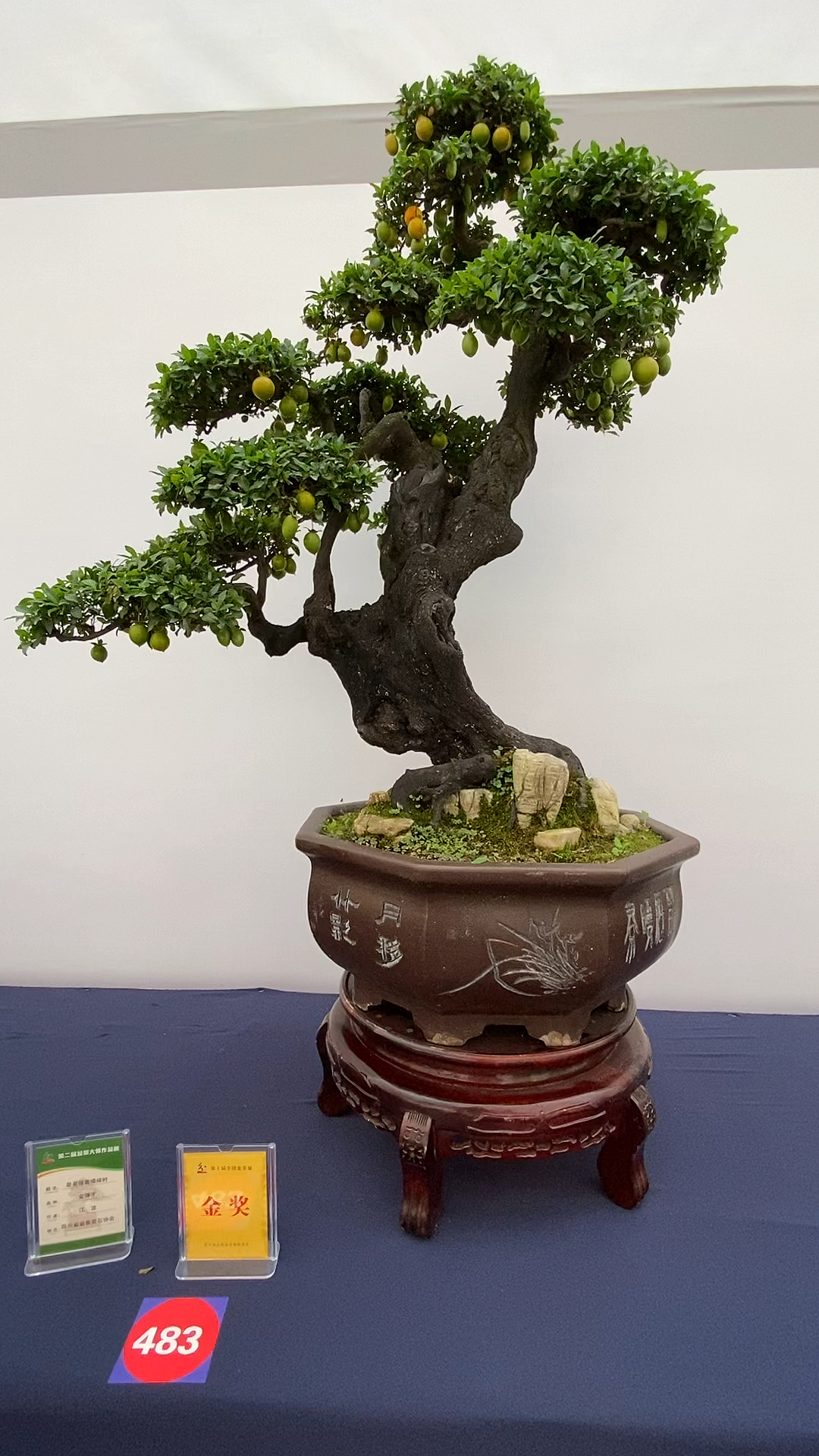 金弹子金奖得主