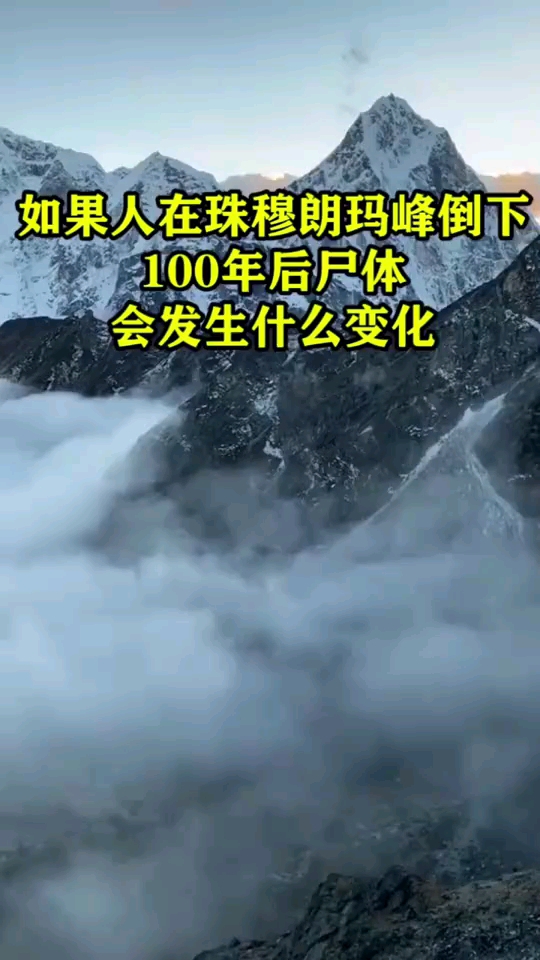 珠峰1996山难真相图片