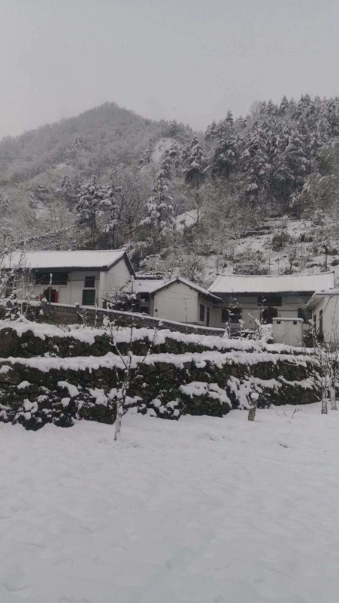 我的家乡下雪了#农村没有城市的繁华,却有熟悉的味道和满满的爱,际乔