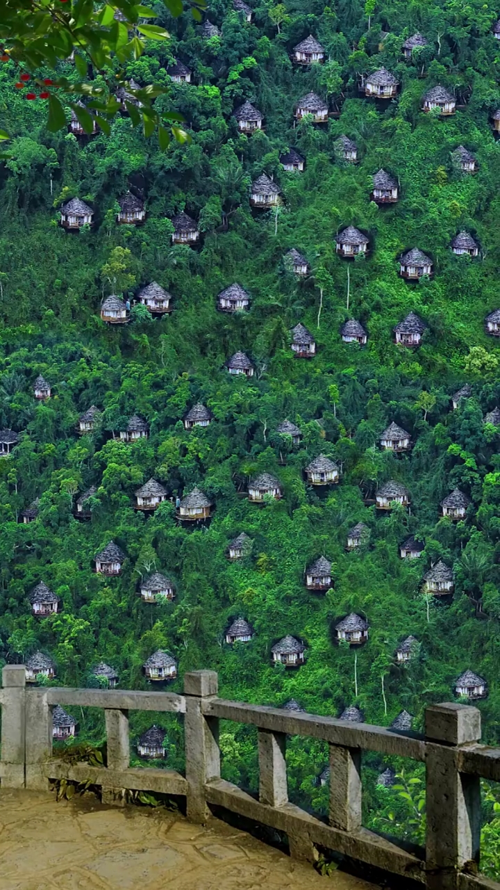 海南三亚鸟巢度假村,每间都是独栋别墅,隐藏在原始森林中,面朝大海,你