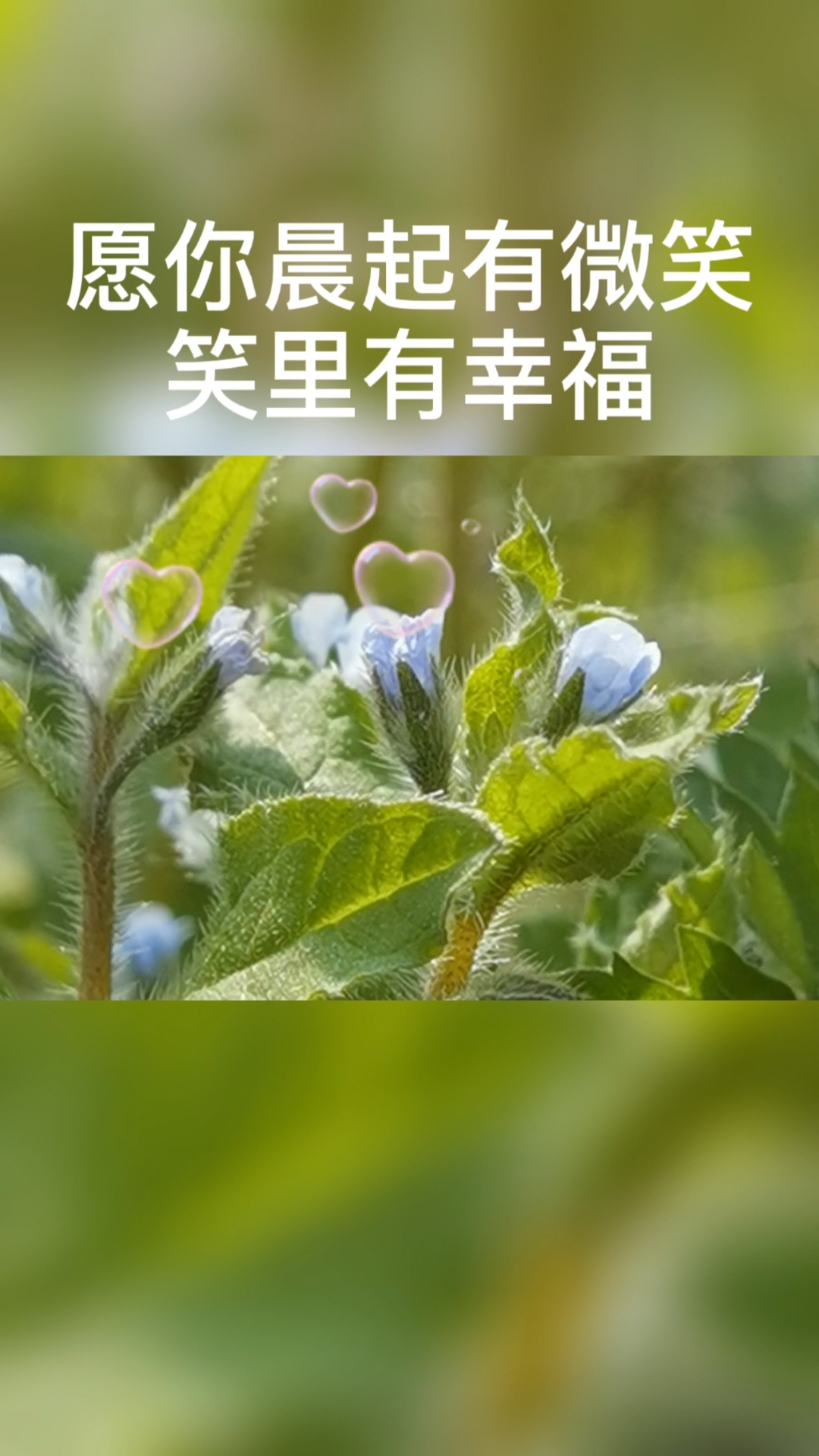 出门记住带上自己的好心情,心情好了,运气一定不会错!