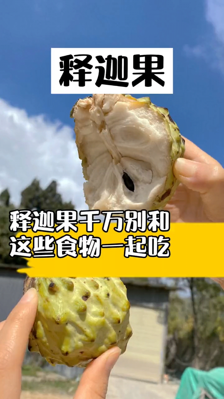 释迦果牛奶凤梨释迦果释迦果千万别和这些食物一起吃