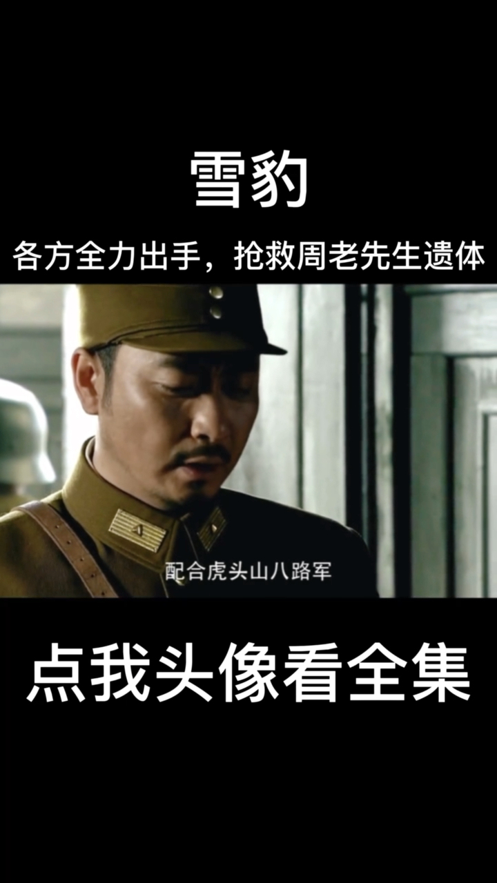 雪豹第17集各方全力出手抢救周老先生遗体
