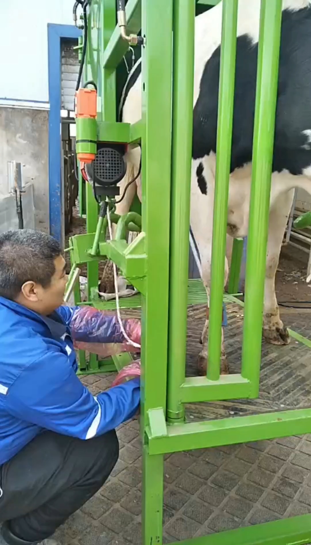 智能立式修蹄车