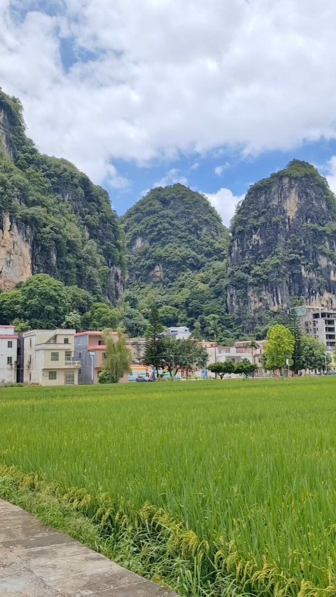 美丽乡村英德黄花白石前村历史悠久峰林秀丽环境优美