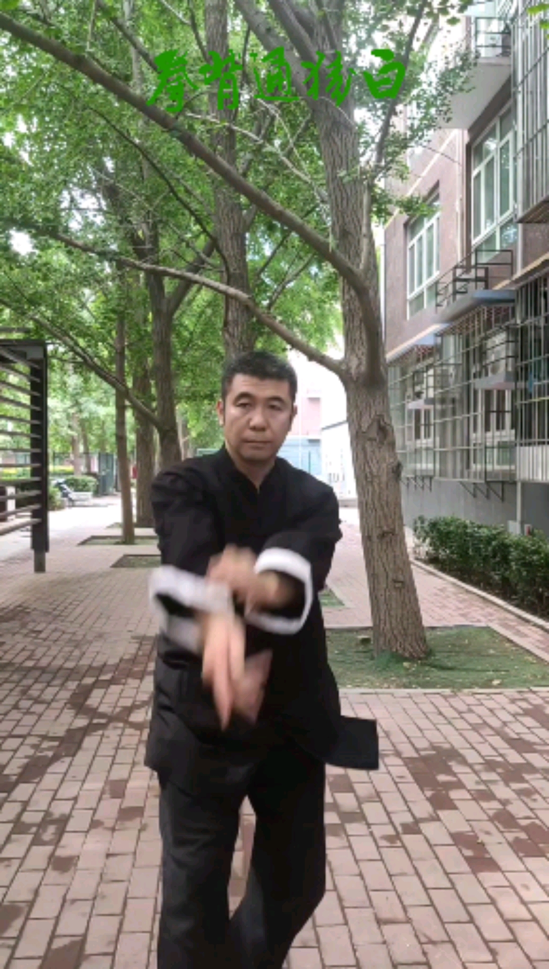 通背拳#白猿通背拳～抖膀子