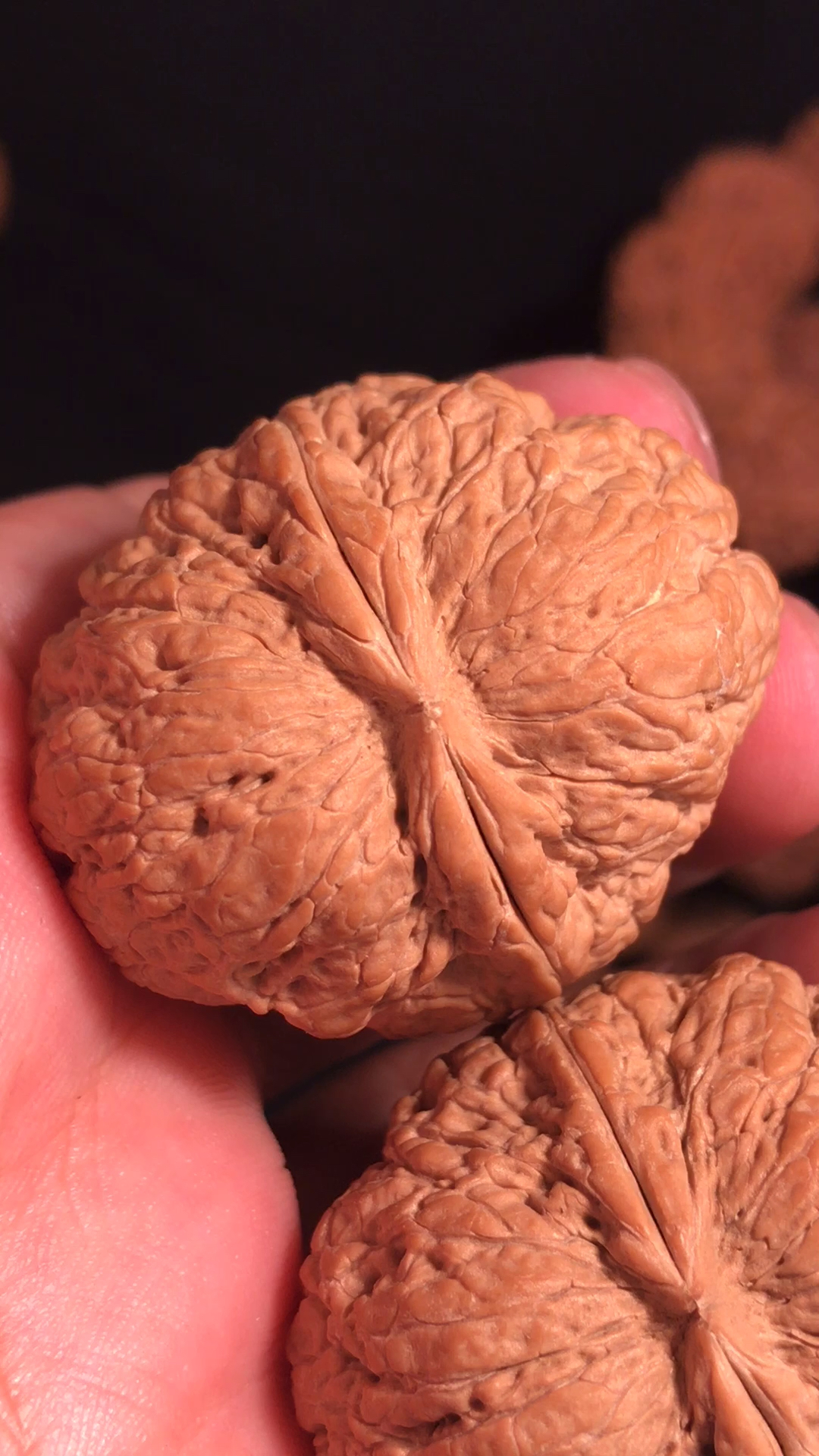 文玩核桃#云铁金蟾蛤蟆头