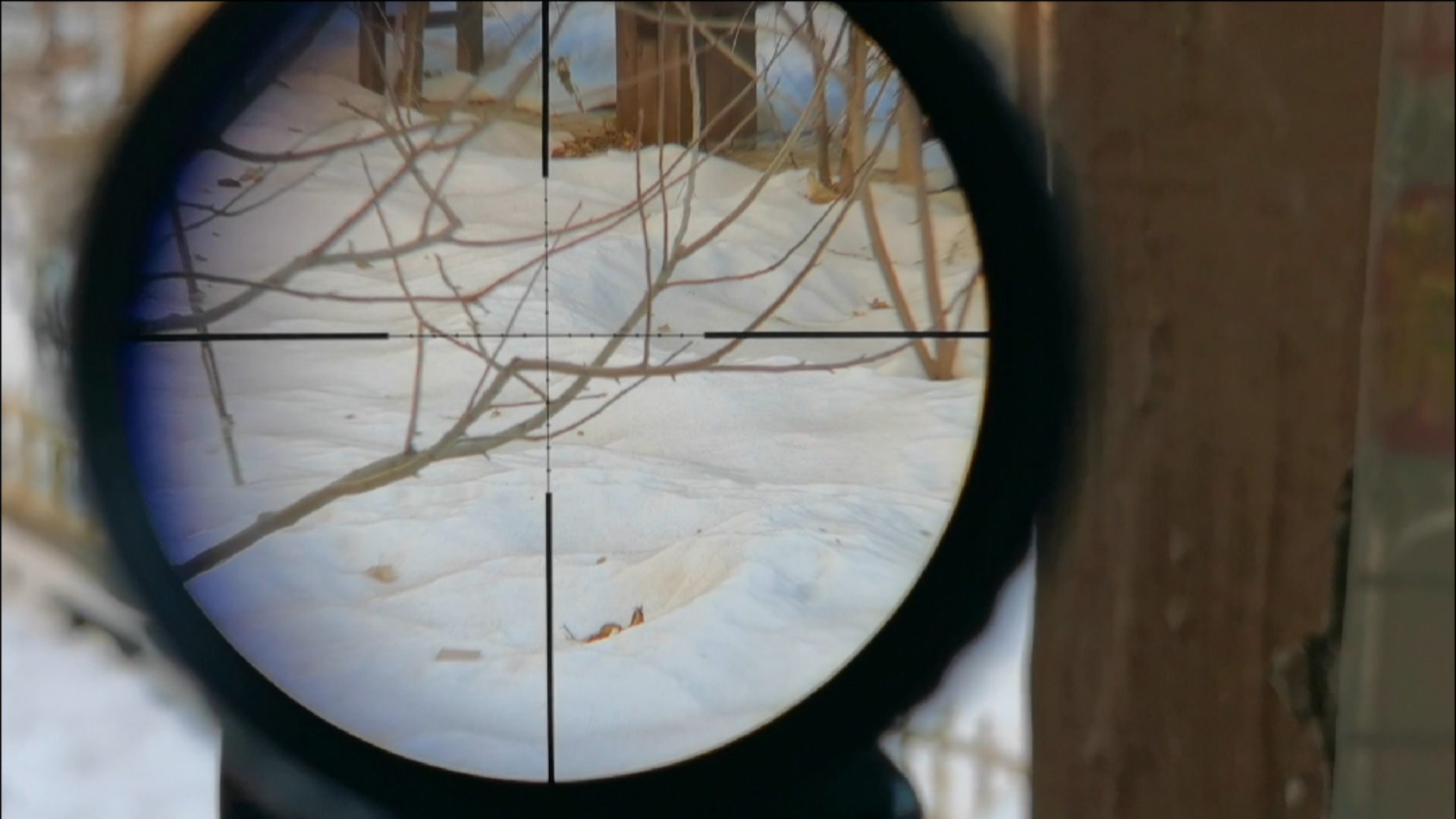 国防军事#狙击手视角