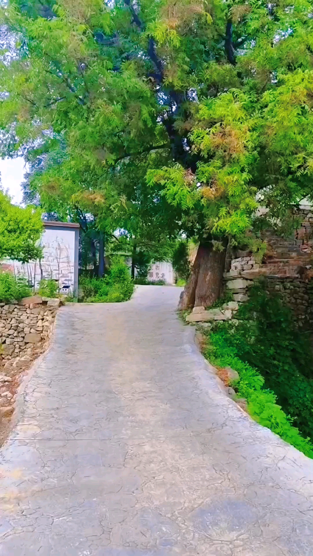 乡村(磁县陶泉乡韩家沟啊村)