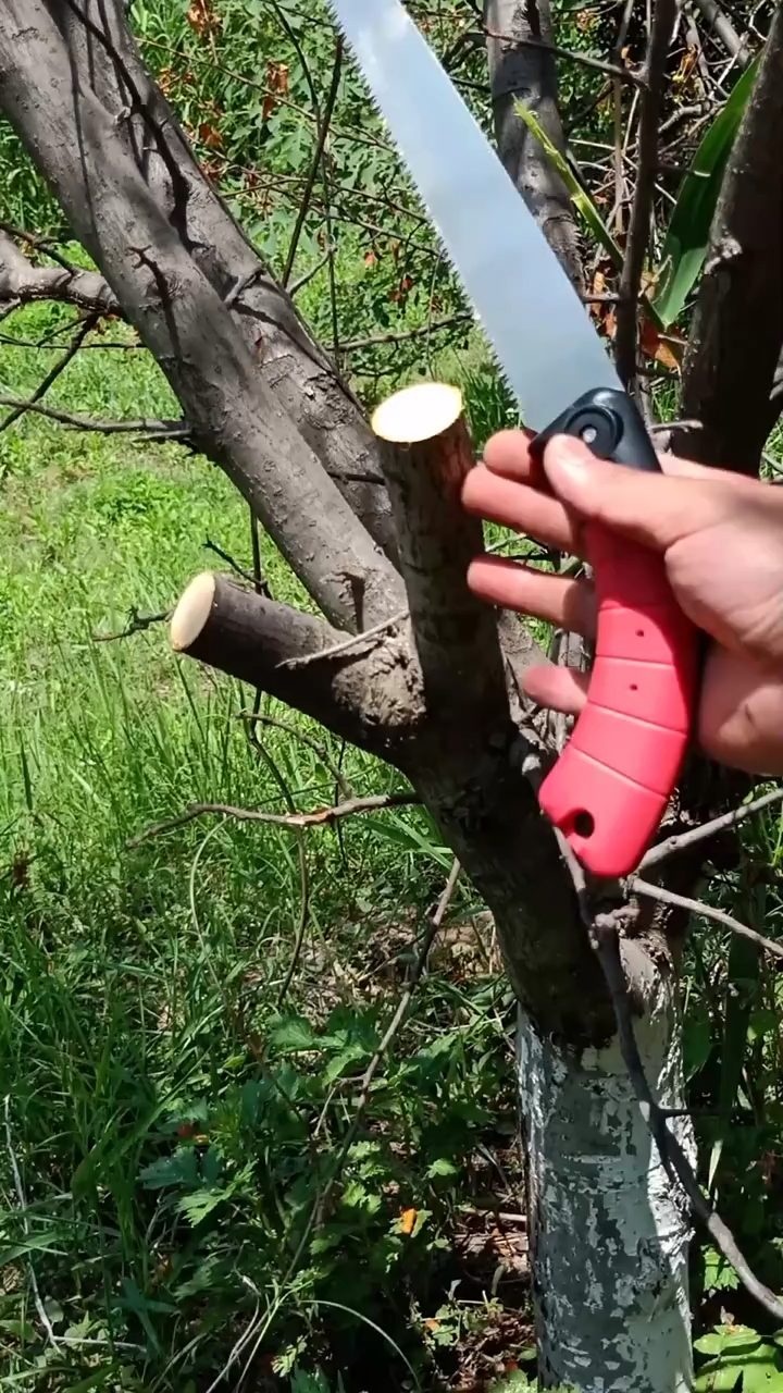 果树修剪一款手锯,锋利耐用,才是王道!-度小视