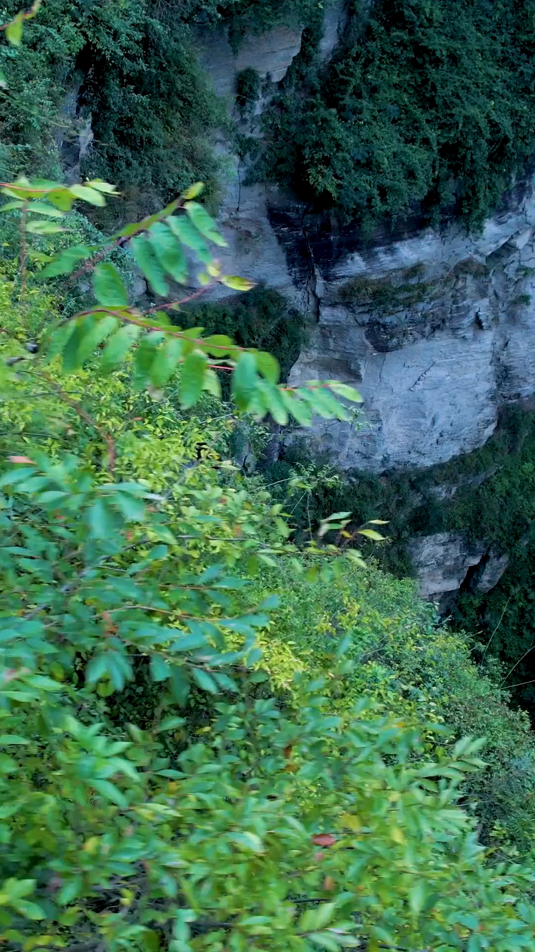 在重庆大山深处发现一个地下暗河双层瀑布从山洞口一泻而下宛如白色