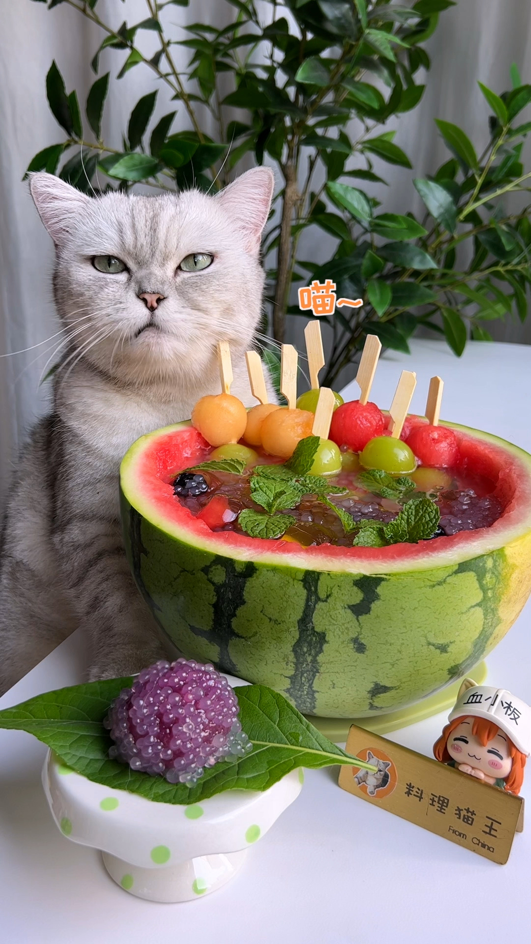 料理猫王番石榴图片