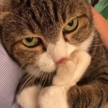 看什么看?你自己没有脚吗?-度小视