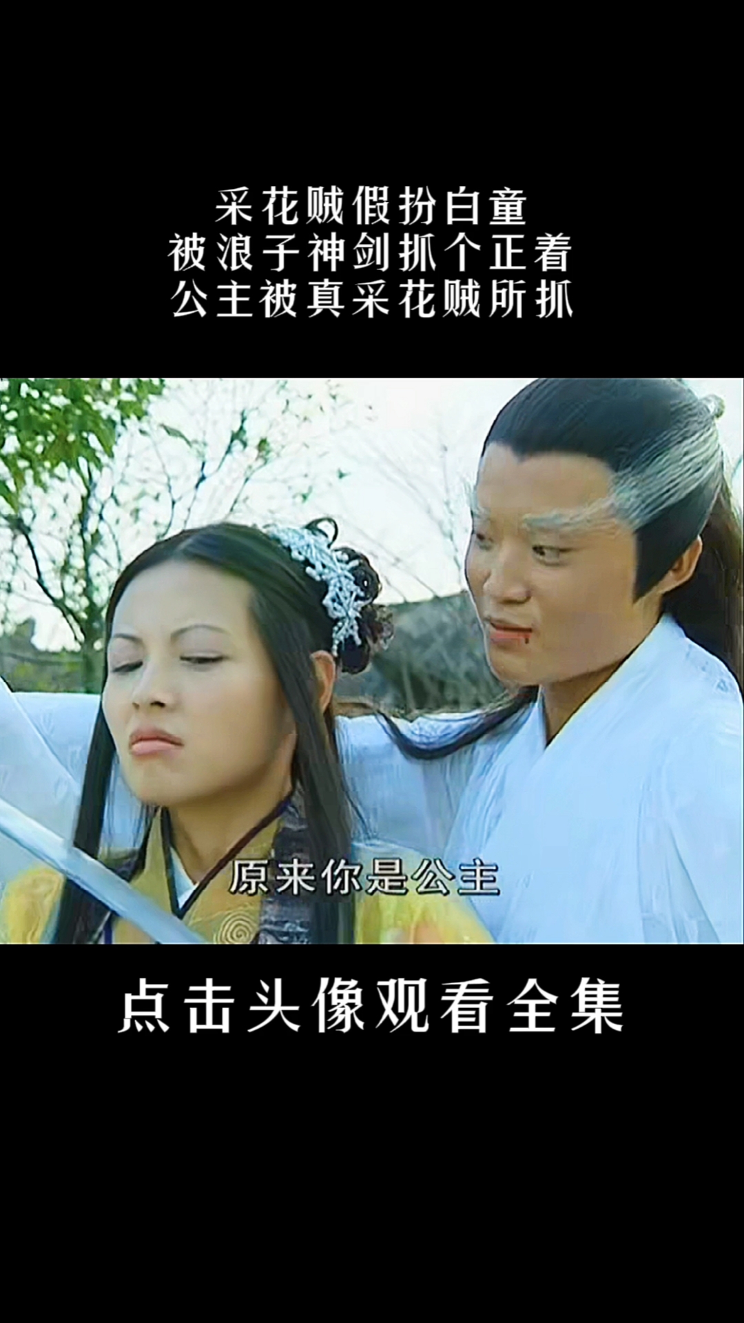 雪花女神龙:浪子白童恰巧碰到采花贼,公主误以为白童是采花大盗