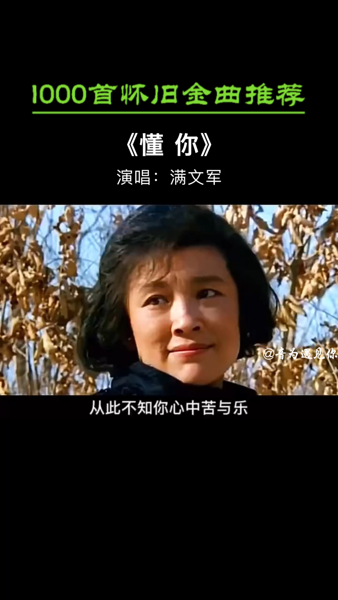 经典老歌儿时在黑白电视机上听到的懂你满满的回忆儿时不知曲中意长大