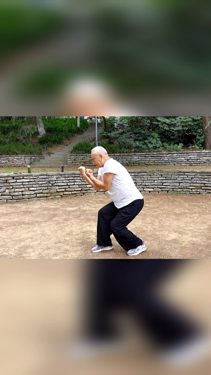 心意拳心意六合拳名家张宁卫老师演示十大形马形之夜马奔槽