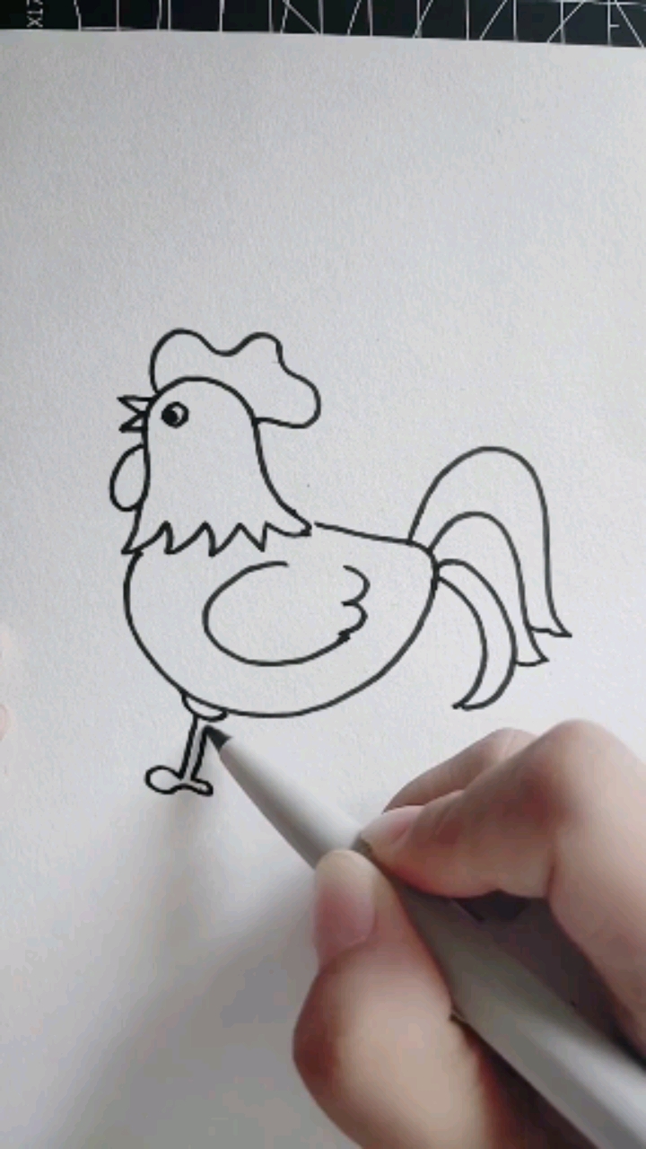 画一个简易的公鸡图片