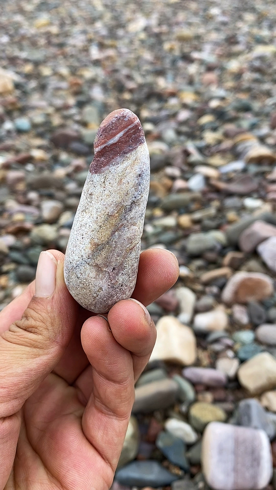 捡石头#满是鹅卵石的河滩捡石头