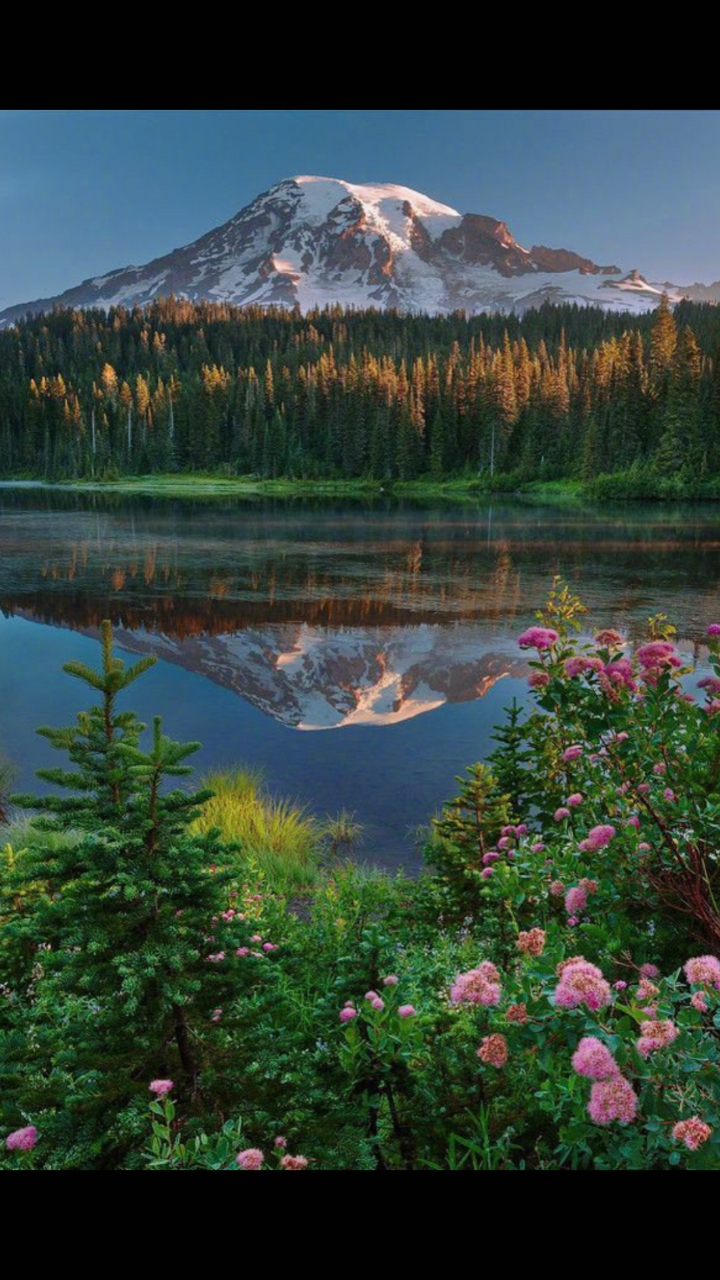 记录生活#心情不好时来看看这些风景