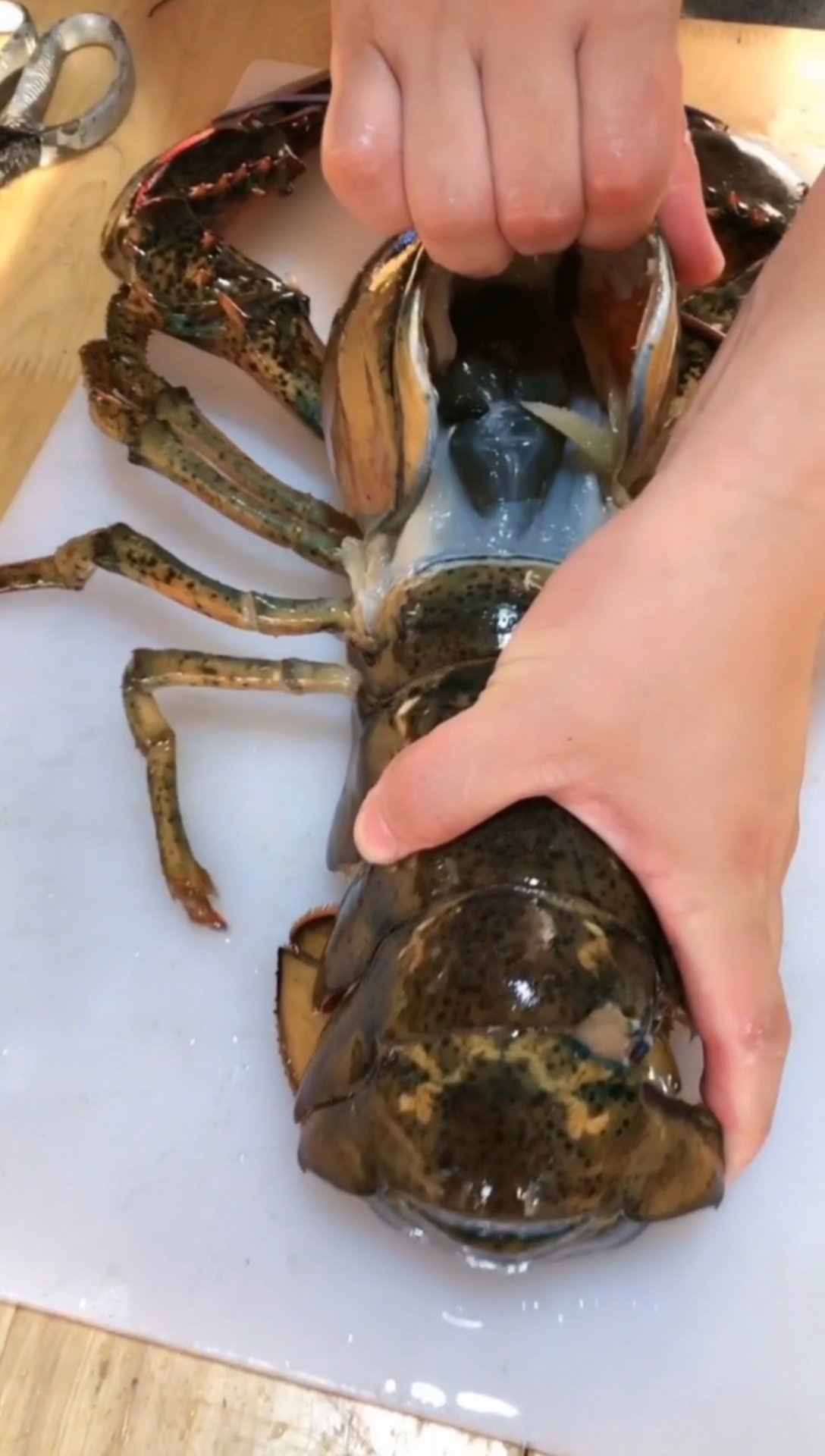 波士顿龙虾的虾脑你吃过吗感觉怎么样