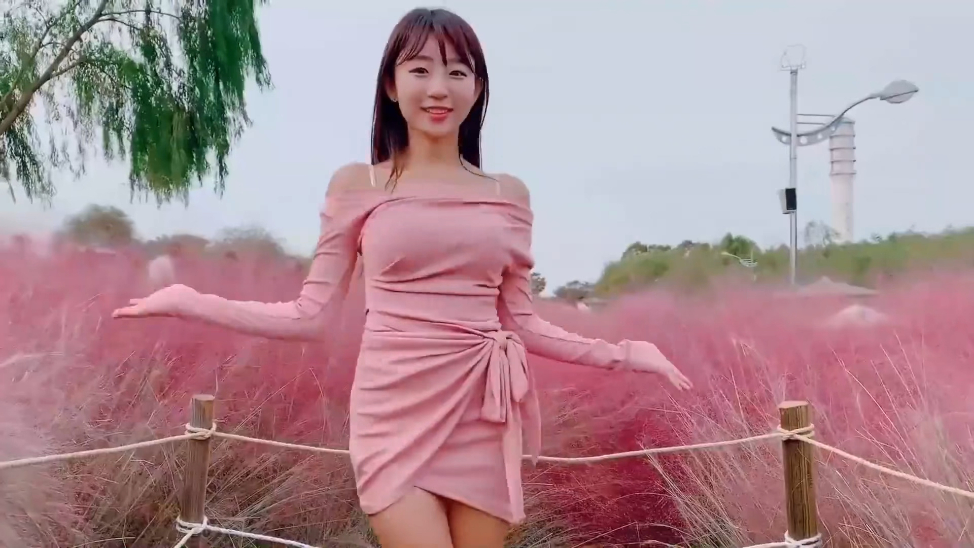 韩国女网红djhenney打卡粉色花海!景美人更美