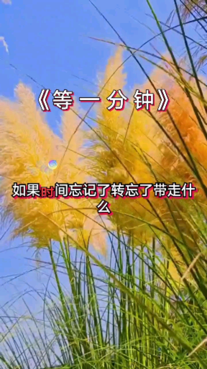 伤感情歌#《等一分钟》一个忧伤的故事.