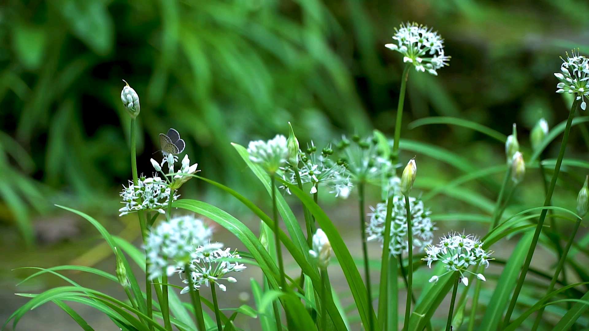 爱美食爱生活#老话说:白露秋分夜,一夜凉一夜,你打算穿秋裤了没?