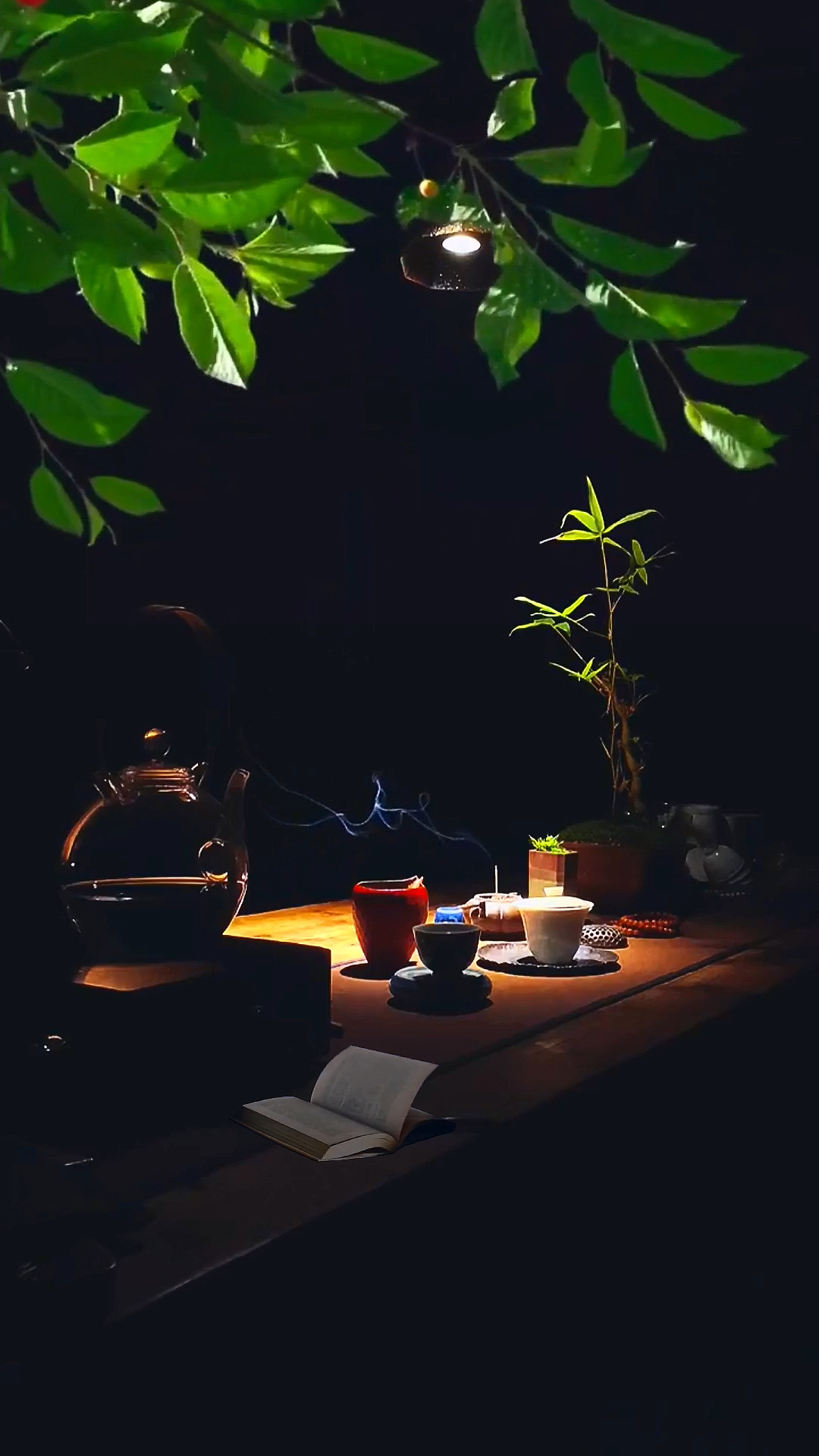 一颗静心观世界,半盏清茶悟人生,人生哪能多如意,万事只求半称心!