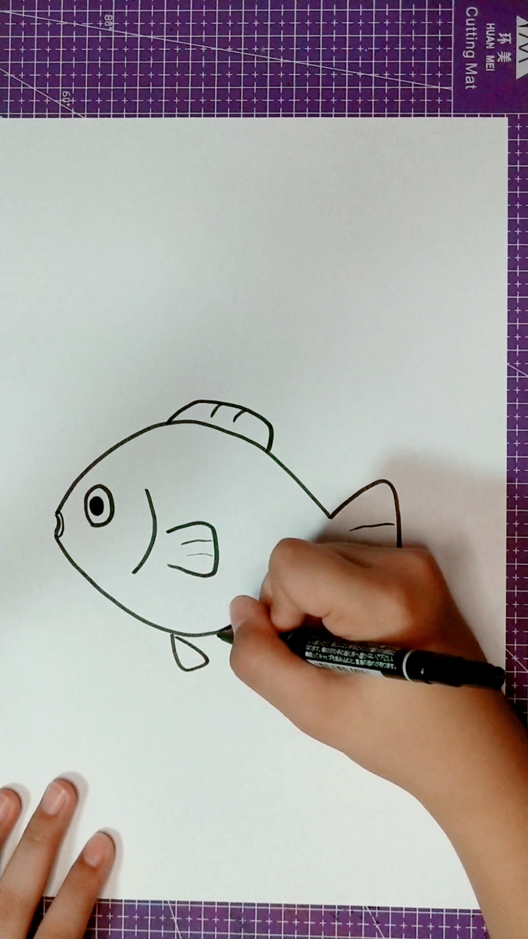 热带鱼鹦鹉鱼的简笔画图片