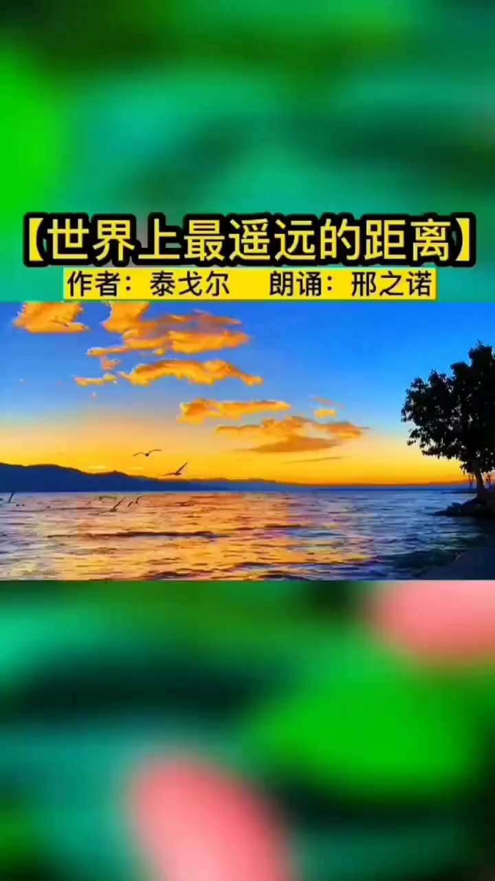 邢之诺#经典诗歌:泰戈尔《世界上最遥远的距离》.朗诵:邢之诺