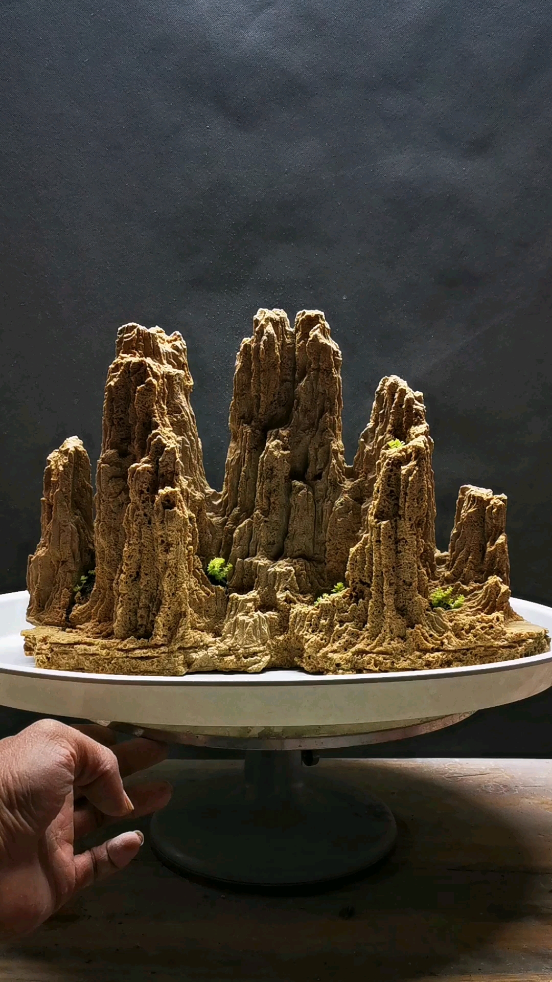 吸水石假山盆景新作欣赏一