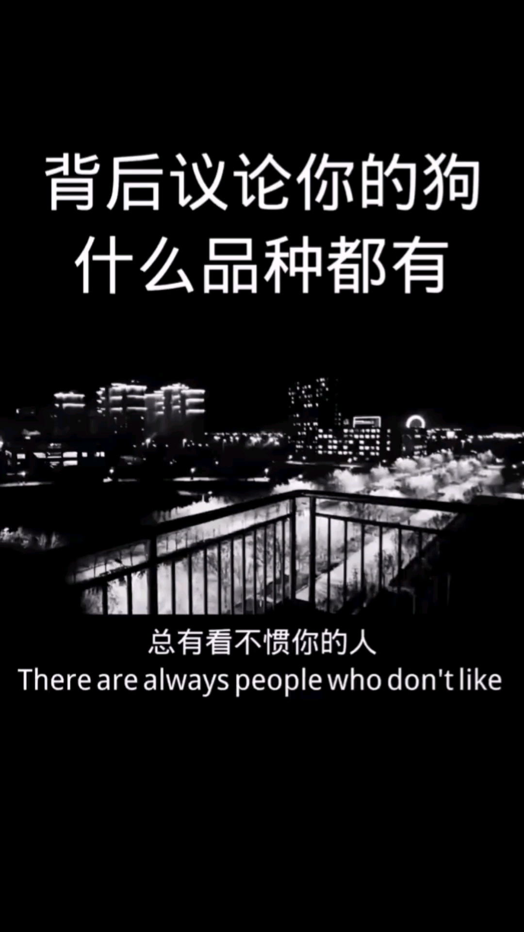 不一样的人生#背后议论你的狗,什么品种都有.