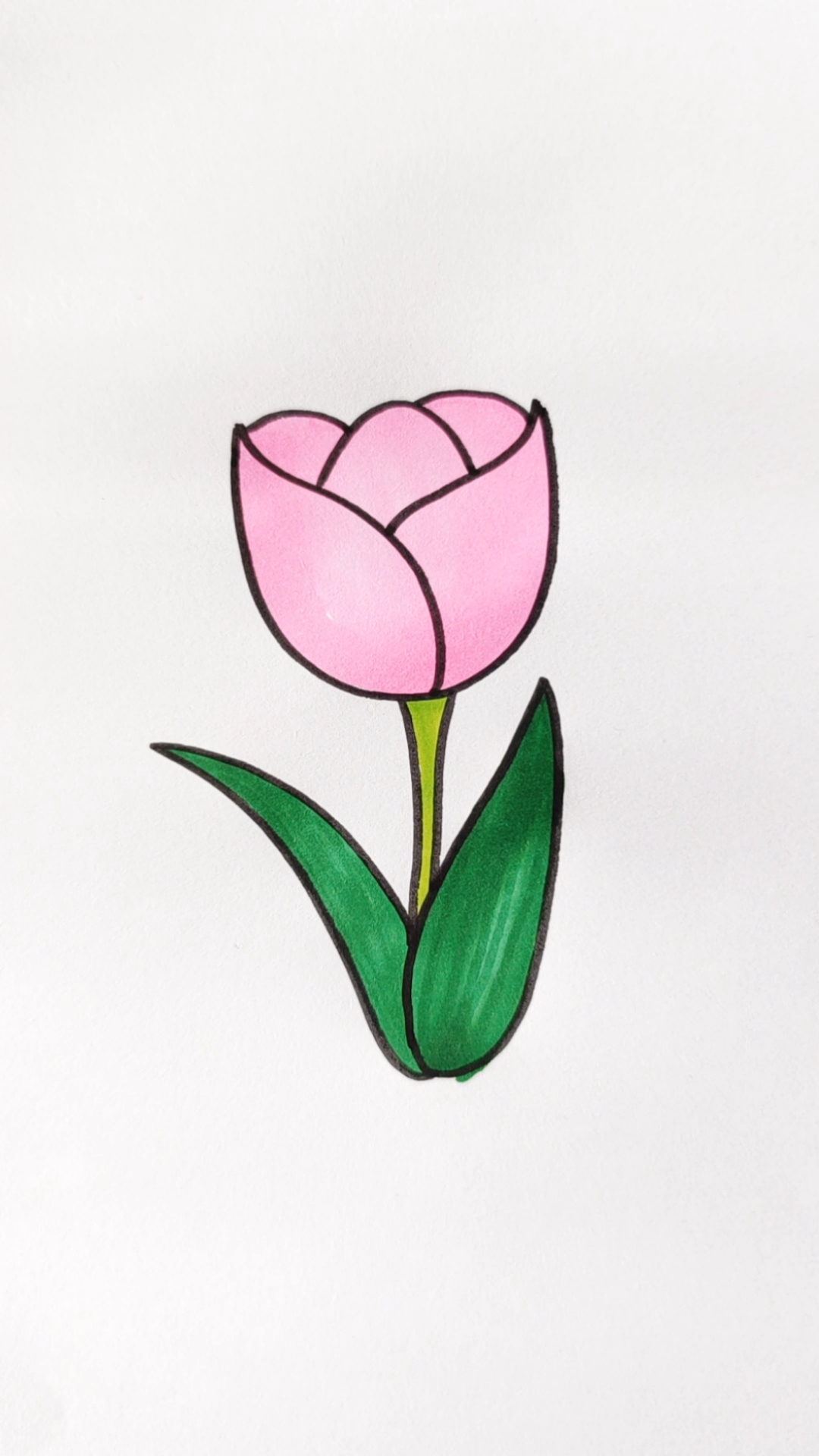 简笔画#郁金香