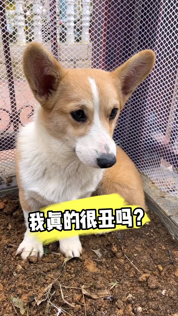 我很丑吗?