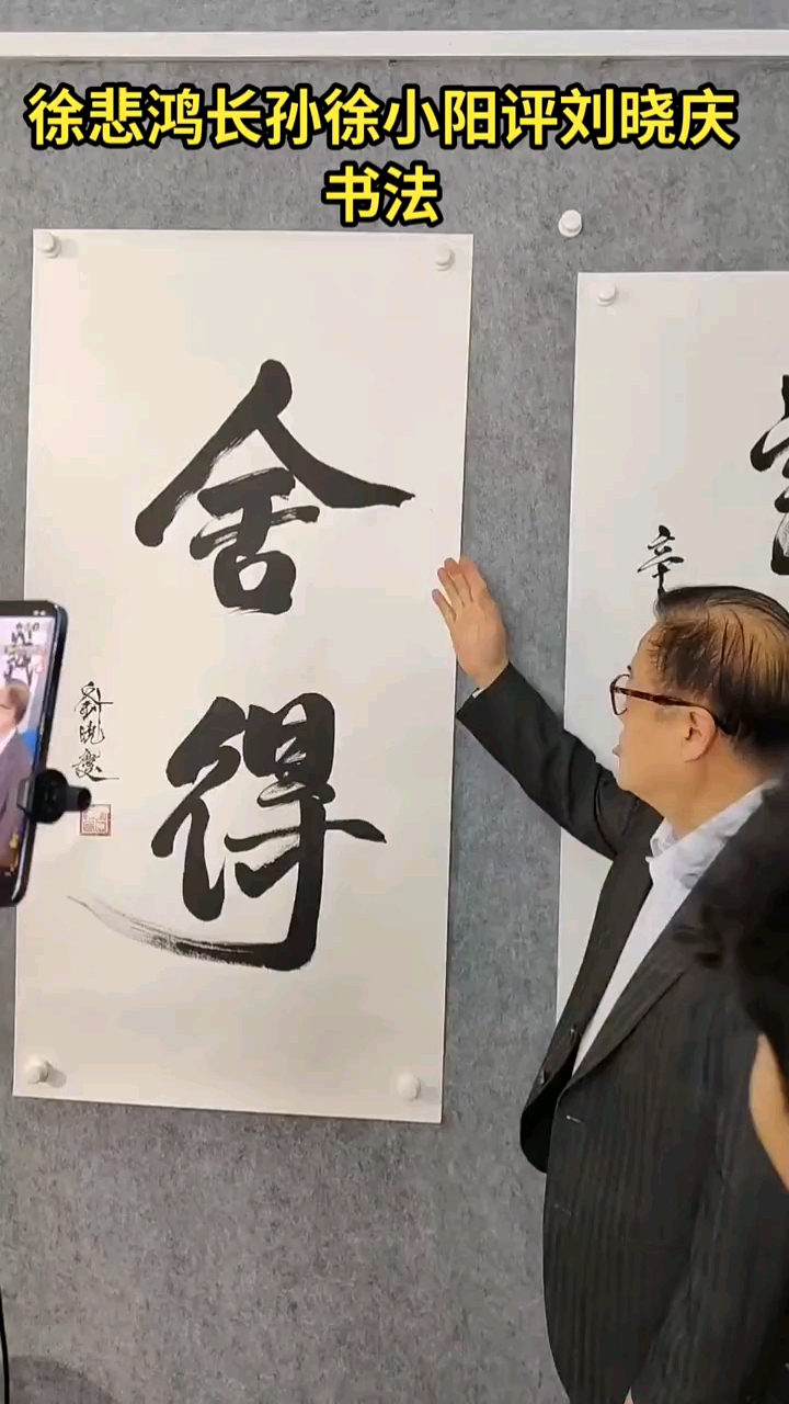 徐小阳徐悲鸿长孙徐小阳评刘晓庆书法