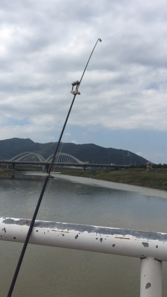 托洲大桥钓鱼图片