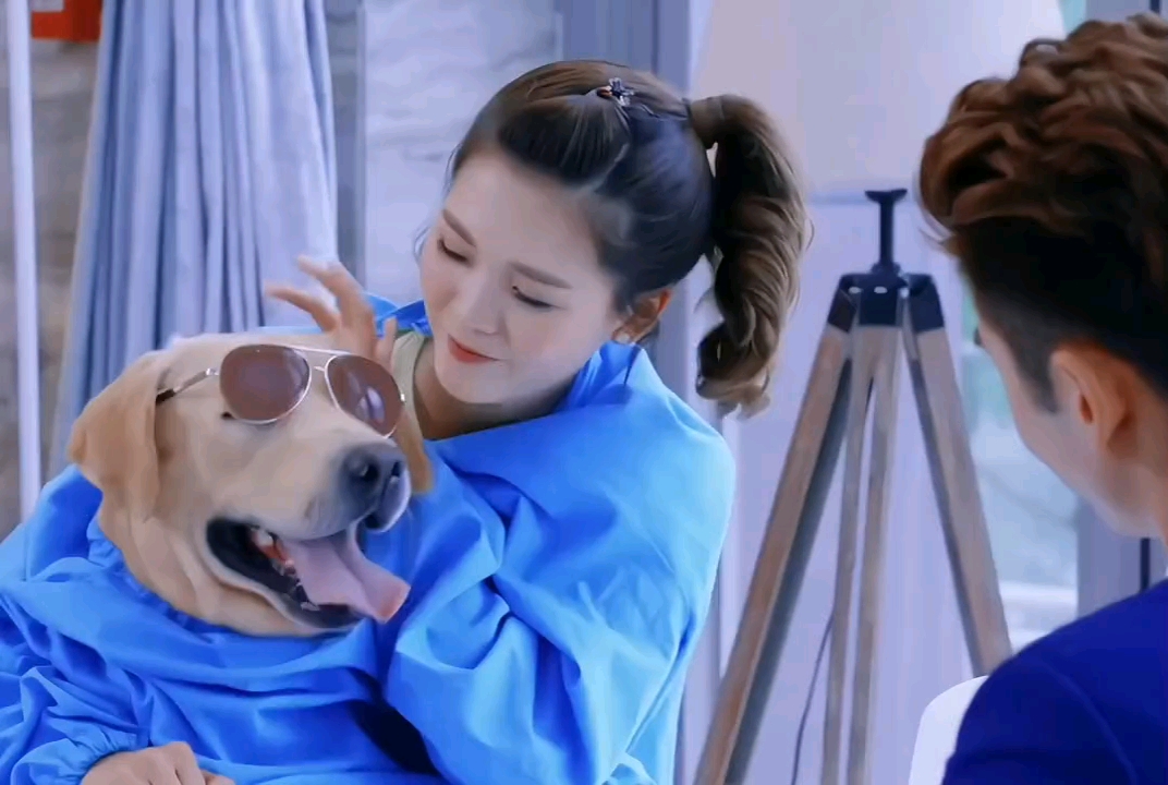 加上小七助攻,鲍宇能挺这么多集已经很厉害了好嘛!