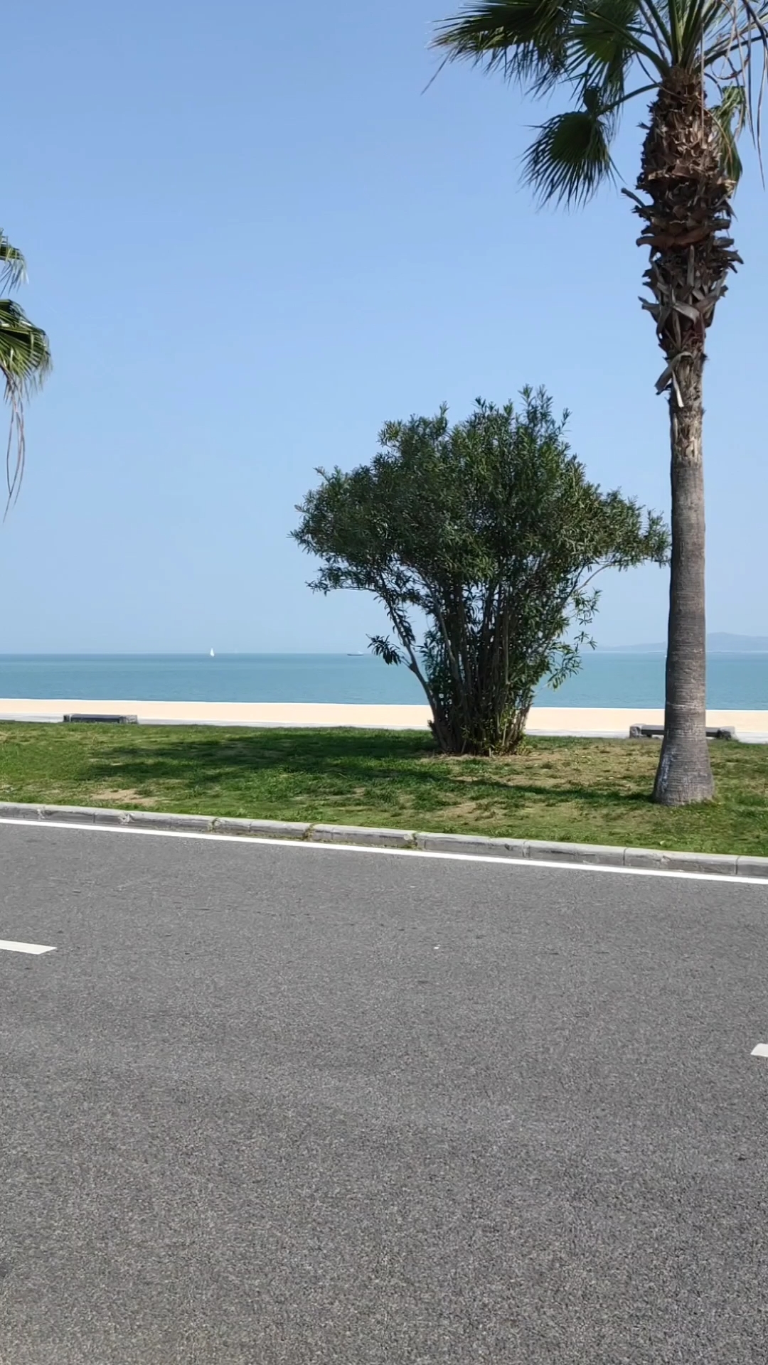 欣赏一下厦门的魅力海岸线,面朝大海,春暖花开