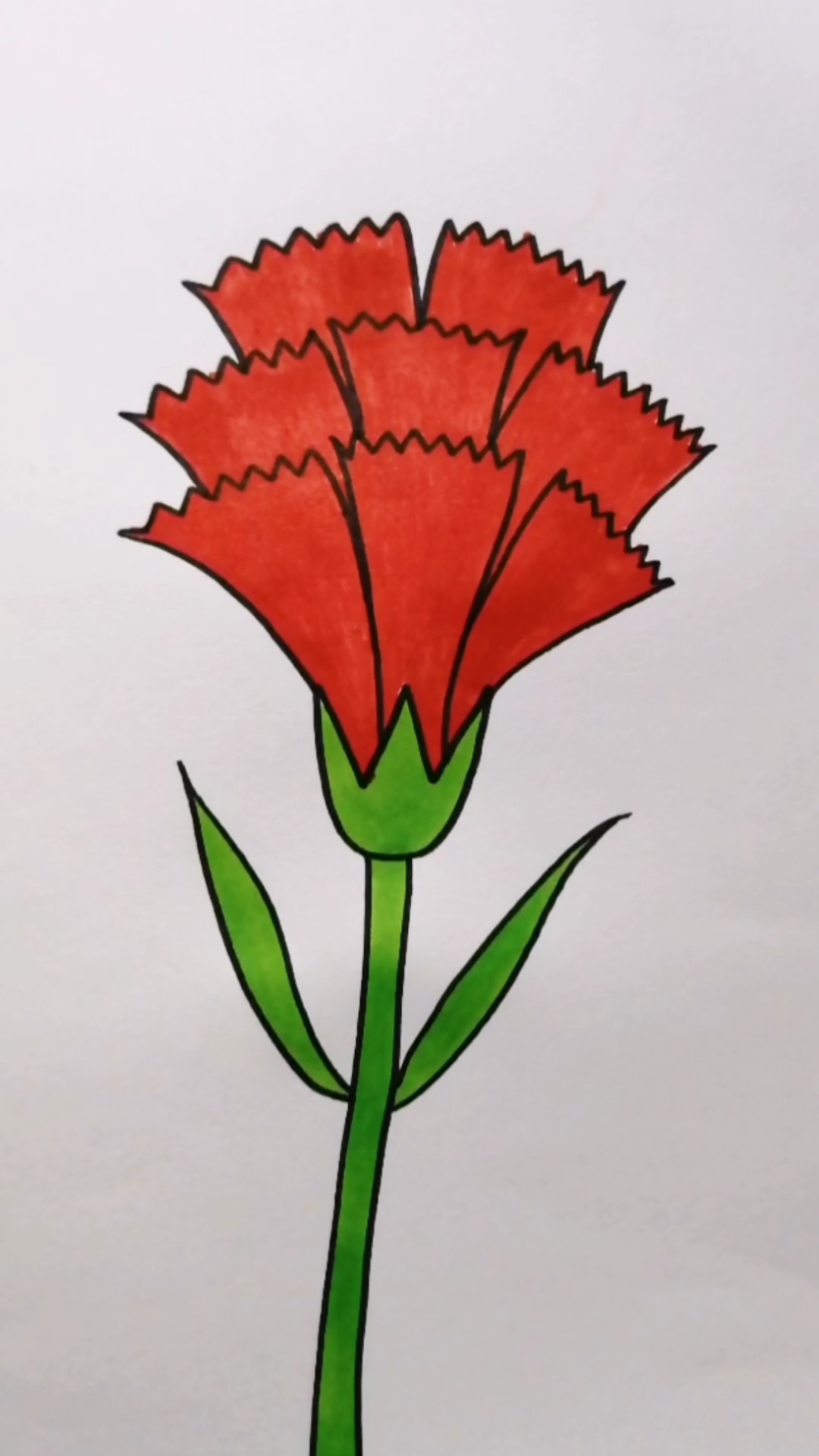 画画原来如此简单#把漂亮的康乃馨送给天下辛苦的妈妈们,愿你们快乐