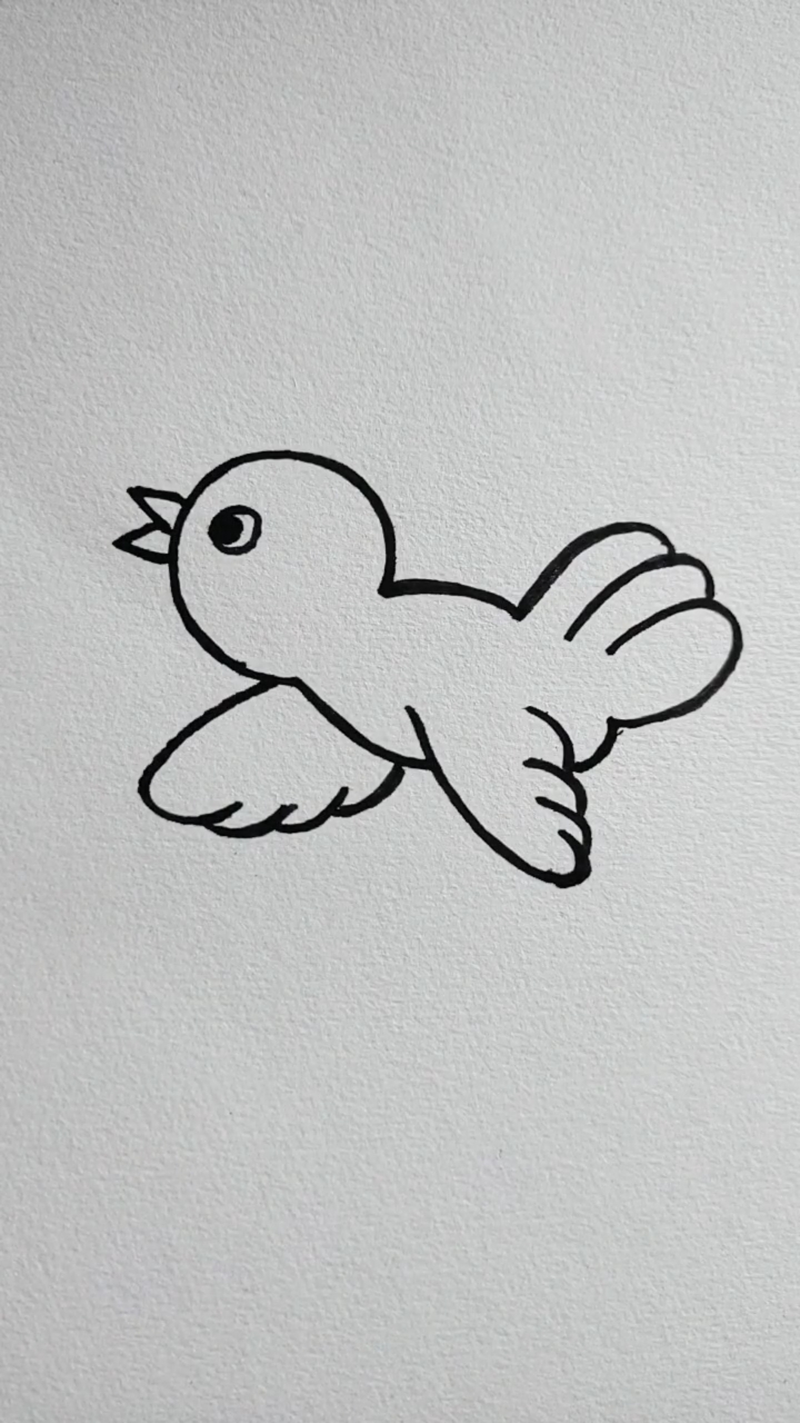 怎样简单的画小鸟图片