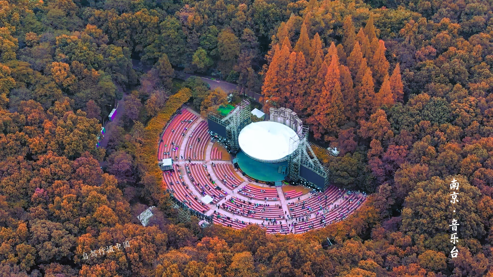 去南京音乐台吧,这里的一年四季,能治愈你的所有不开心.